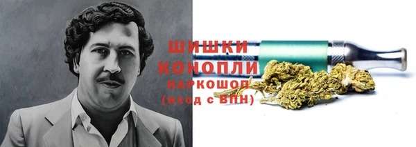 сатива Балахна