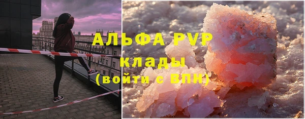 сатива Балахна