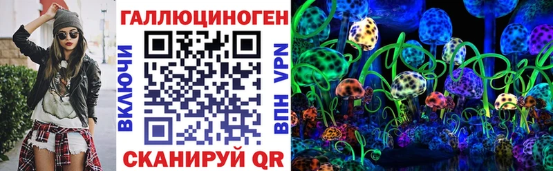 Галлюциногенные грибы Psilocybe Купить Белорецк